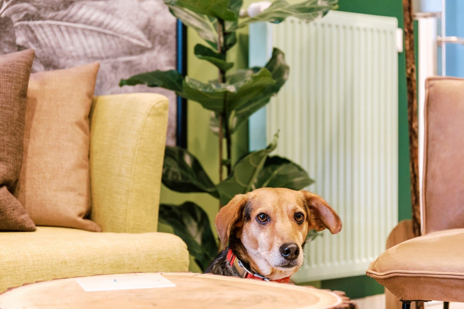 Familienhotel Hotel am Zoo